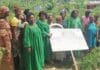 JIF 2025 : L’association ENOMEDA fait former plusieurs femmes en pisciculture à Douala