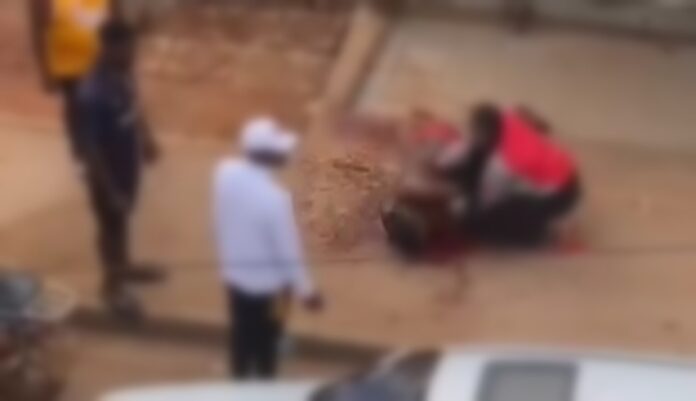 Screenshot_20250515_192332