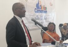 FinTech au Cameroun : l’ANTIC assure la veille sécuritaire