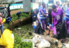 Biodiversité : À Douala 5ème, river Cleanup Cameroon outille encore plus les populations pour la lutte contre la pollution plastique