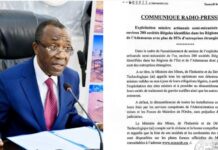 Secteur aurifère : Plusieurs entreprises chinoises exploitent clandestinement de l’or au Cameroun