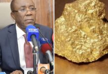 Fuh Calistus Gentry : “Le Cameroun n’a pas perdu de l’Or, mais les taxes sur l’exploitation de l’Or”