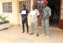 Cybercriminalité : un réseau de faux tickets de voyage démantelé à Yaoundé