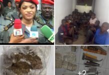 Grand Banditisme : 13 suspects interpellés, 46 motos et un arsenal d’objets saisis