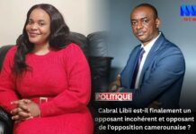 Analyse : Mimi Mefo charge maladroitement Cabral Libii, les faits la rattrapent