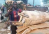 À Douala, les déchets de carton, dernier rempart contre le chômage
