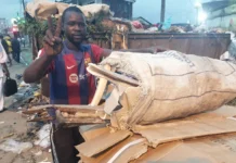 À Douala, les déchets de carton, dernier rempart contre le chômage