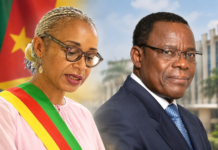 Démission de Maurice Kamto : l’UDC met en garde contre l’étouffement du jeu politique