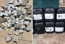 Sud-Ouest : la Douane saisit 300 000 comprimés de Tramadol et 340 kg de formol