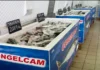 Poisson congelé : CONGELCAM alerte sur une pénurie à l’approche des fêtes de fin d’année