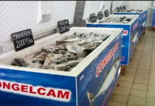 Poisson congelé : CONGELCAM alerte sur une pénurie à l’approche des fêtes de fin d’année