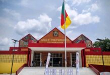 Maroua : une salle polyvalente de 1 000 places au cœur de la transformation urbaine portée par le C2D