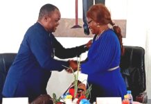 Djoum : la filière manioc mise sur la transformation et la ZLECAf pour changer d’échelle
