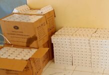 Yagoua : 1,8 million de comprimés de paracétamol saisis dans une cargaison d’arachides