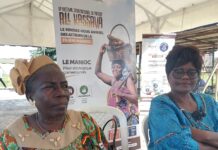 Festival All Kassava 2026 : le manioc à la conquête des marchés africains et internationaux