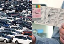 Véhicules d’occasion au Cameroun : quand une carte grise ne garantit pas le dédouanement