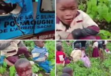 Bandjoun : un bus scolaire se renverse avec des élèves, la sécurité des enfants en question